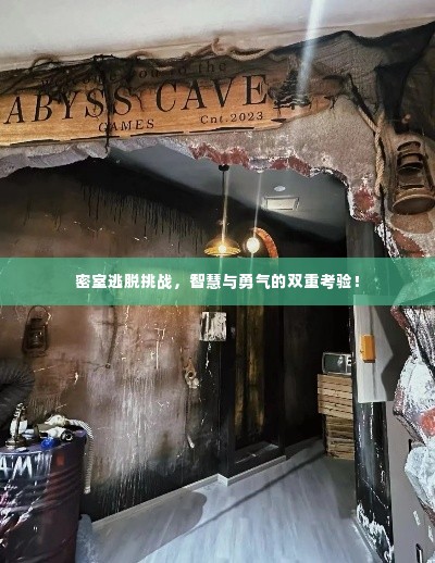 密室逃脱挑战，智慧与勇气的双重考验！