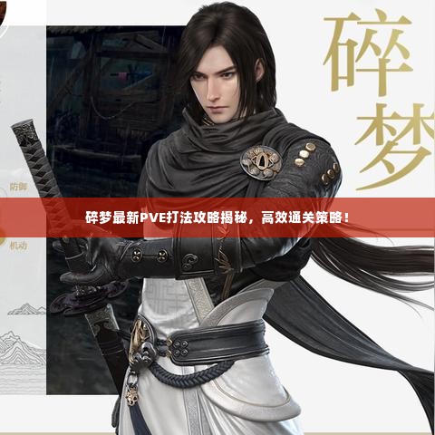 碎梦最新PVE打法攻略揭秘，高效通关策略！