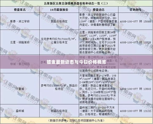 镀金最新动态与今日价格概览