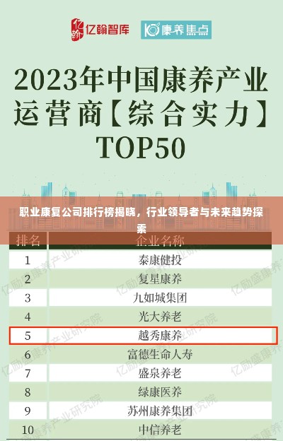 职业康复公司排行榜揭晓,行业领导者与未来趋势探索