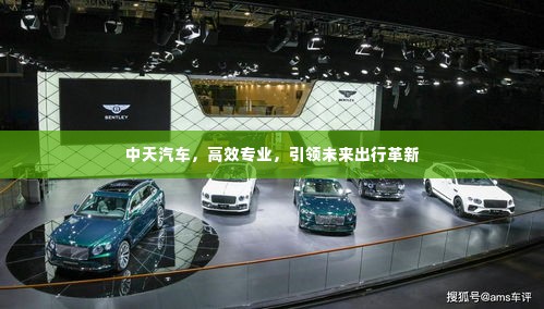 中天汽车,高效专业,引领未来出行革新