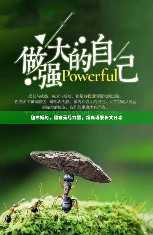 励志短句,蕴含无尽力量,经典语录长文分享
