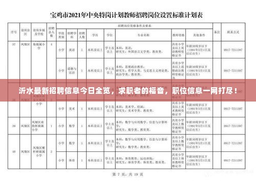 沂水最新招聘信息今日全览，求职者的福音，职位信息一网打尽！