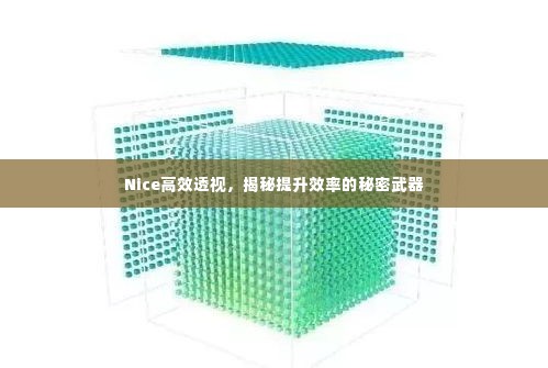 Nice高效透视，揭秘提升效率的秘密武器