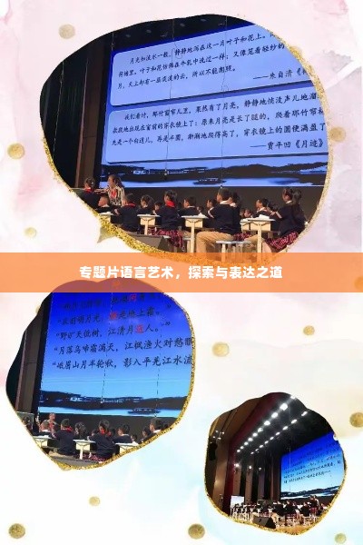 专题片语言艺术,探索与表达之道