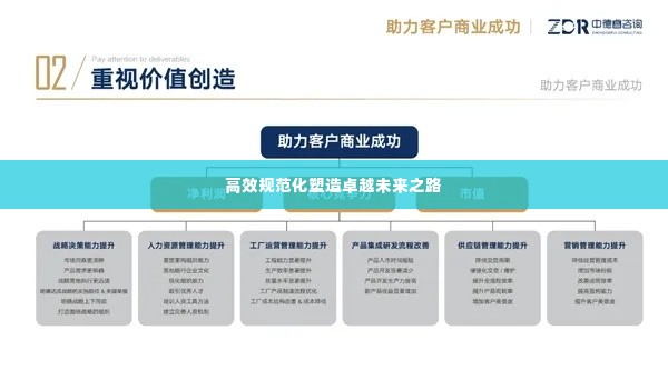 高效规范化塑造卓越未来之路