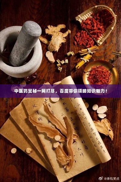 中医药奥秘一网打尽,百度带你领略知识魅力!