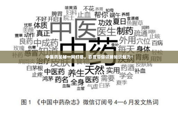 中医药奥秘一网打尽,百度带你领略知识魅力!