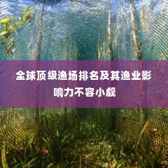 全球顶级渔场排名及其渔业影响力不容小觑