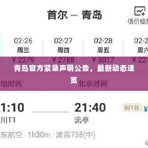 青岛官方紧急声明公告,最新动态速览