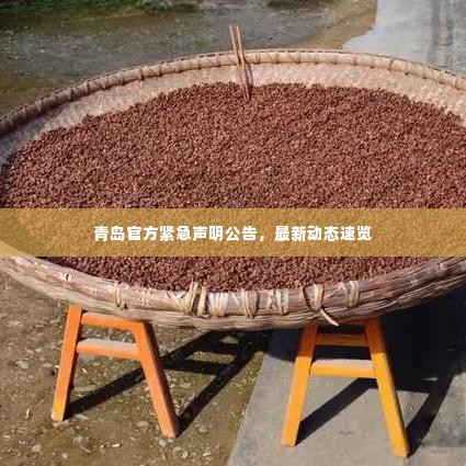 青岛官方紧急声明公告,最新动态速览