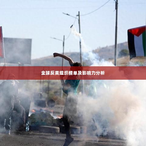 全球反美组织榜单及影响力分析