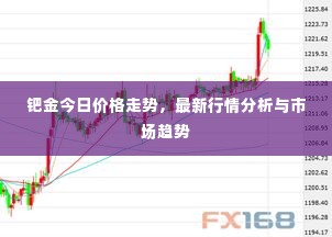 钯金今日价格走势，最新行情分析与市场趋势