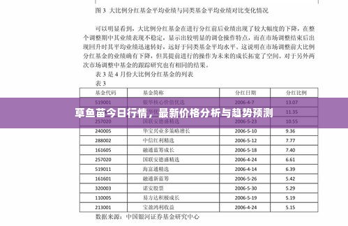 草鱼苗今日行情,最新价格分析与趋势预测