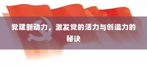 党建新动力,激发党的活力与创造力的秘诀