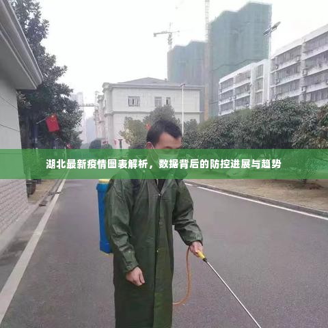 湖北最新疫情图表解析,数据背后的防控进展与趋势