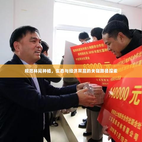 规范林间种植,生态与经济双赢的关键路径探索