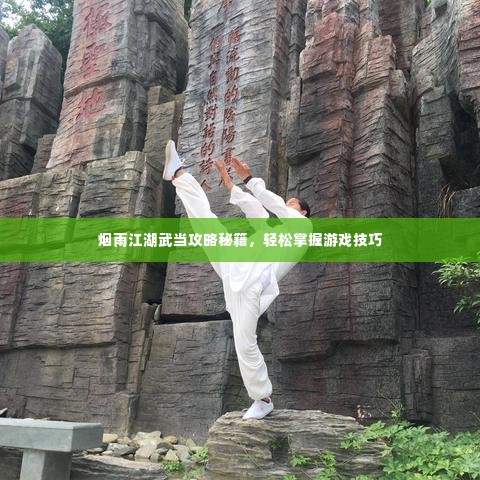 烟雨江湖武当攻略秘籍，轻松掌握游戏技巧