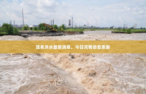 凤毛麟角 第2页