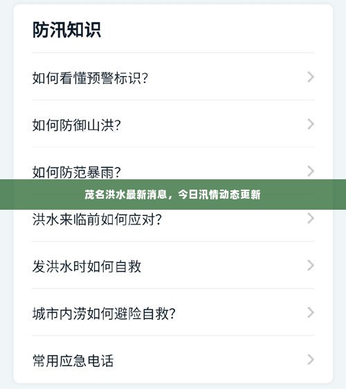 茂名洪水最新消息,今日汛情动态更新
