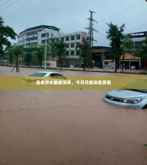 茂名洪水最新消息,今日汛情动态更新