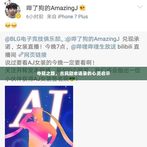 夺冠之路,古风励志语录的心灵启示