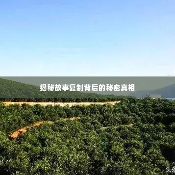 揭秘故事复制背后的秘密真相