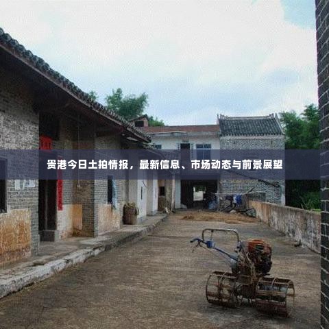 贵港今日土拍情报,最新信息、市场动态与前景展望