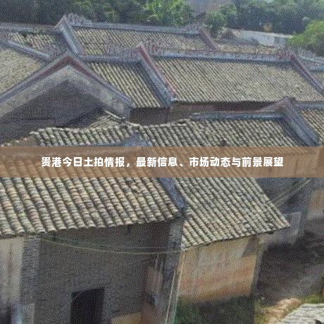 贵港今日土拍情报,最新信息、市场动态与前景展望