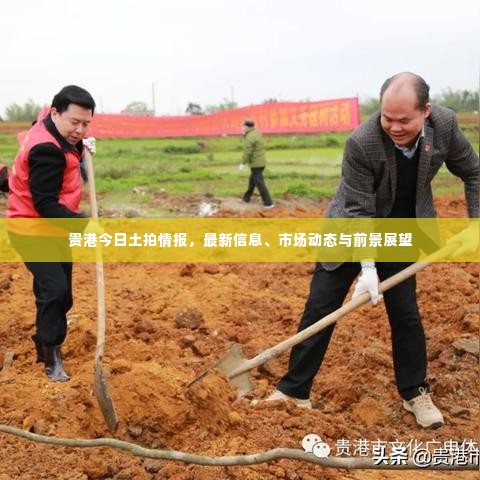 贵港今日土拍情报,最新信息、市场动态与前景展望