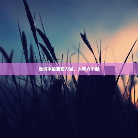 逆境中的坚韧力量，人穷六不断