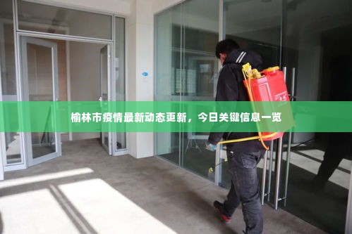 榆林市疫情最新动态更新，今日关键信息一览