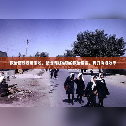 政治面貌规范表述,塑造清晰准确的政治语言,提升沟通效率