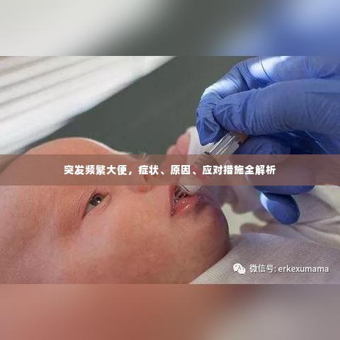 突发频繁大便,症状、原因、应对措施全解析