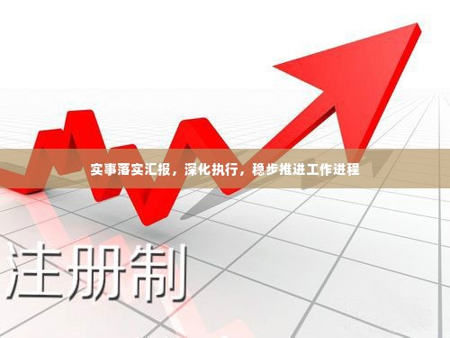 实事落实汇报，深化执行，稳步推进工作进程