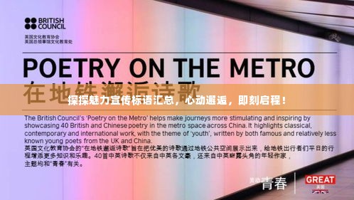 虎背熊腰 第2页