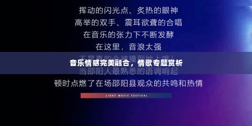 音乐情感完美融合，情歌专题赏析