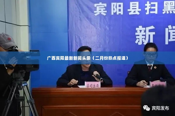 广西宾阳最新新闻头条(二月份热点报道)