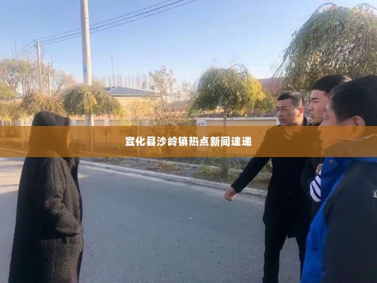 宣化县沙岭镇热点新闻速递
