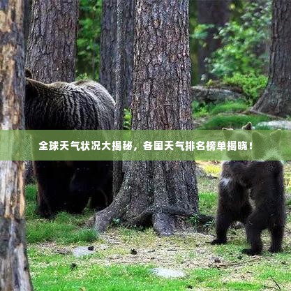 全球天气状况大揭秘,各国天气排名榜单揭晓!