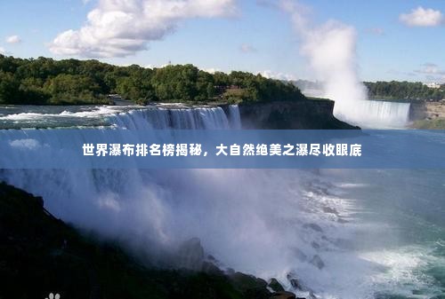 撺哄鸟乱 第2页