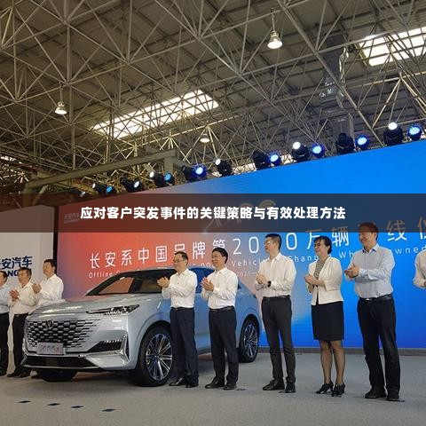 应对客户突发事件的关键策略与有效处理方法