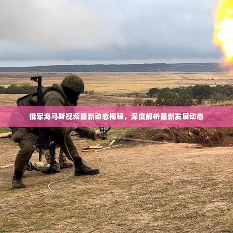 俄军海马斯视频最新动态揭秘,深度解析最新发展动态