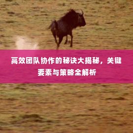 繁鸟萃棘 第2页