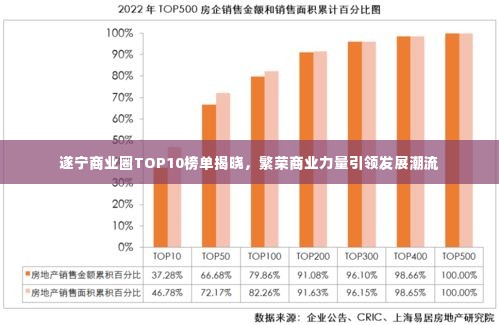 遂宁商业圈TOP10榜单揭晓，繁荣商业力量引领发展潮流