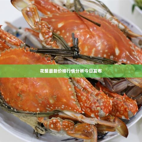 花蟹最新价格行情分析今日发布