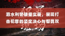 泗水刑警破案实录，展现打击犯罪的坚定决心与智勇双全