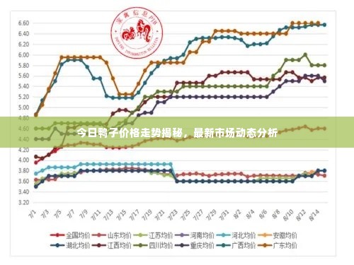 今日鸭子价格走势揭秘,最新市场动态分析