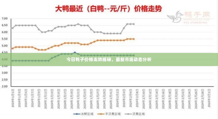 今日鸭子价格走势揭秘,最新市场动态分析