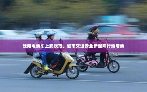 沈阳电动车上牌规范,城市交通安全新保障行动启动